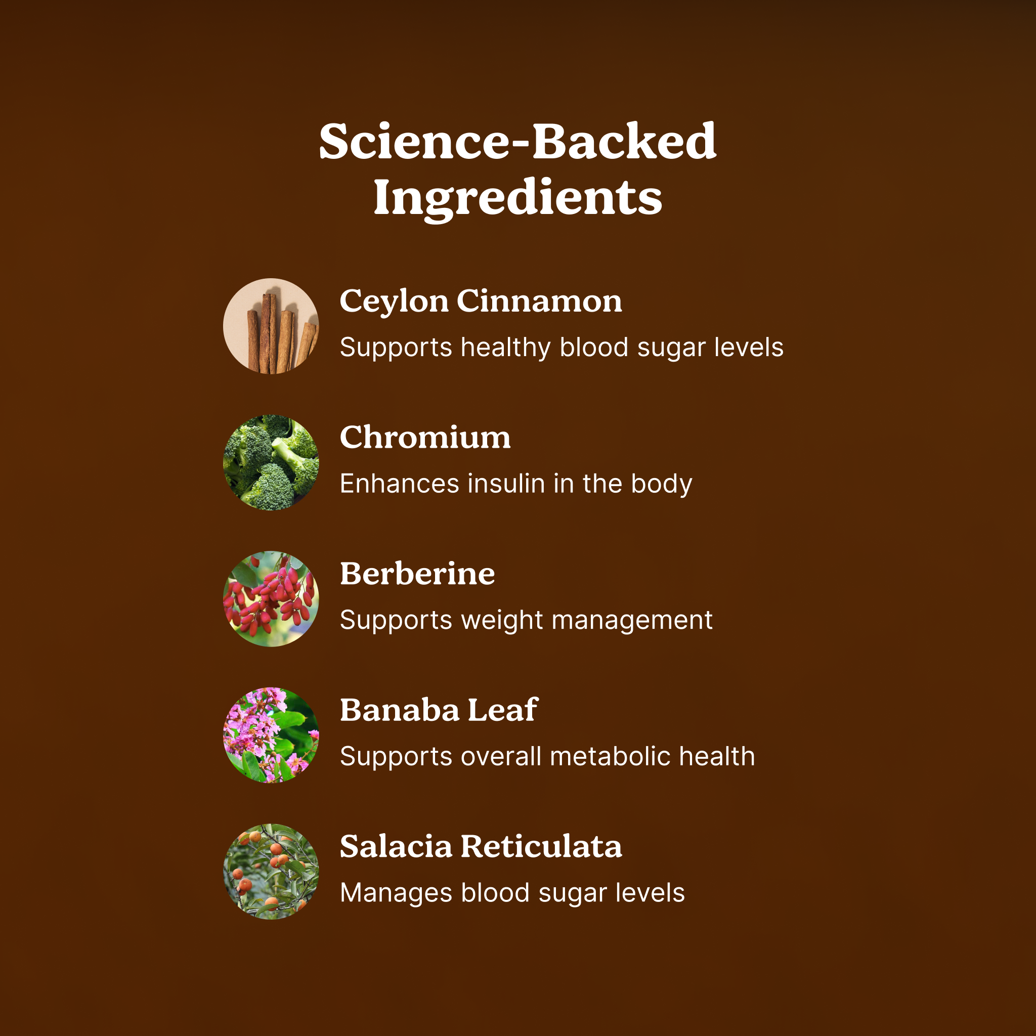 Sugar Guard Ceylon Cinnamon Gummies Fling