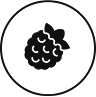 Blackberry